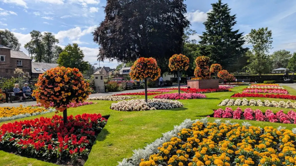 A long, colorful border of summer flowers, including vibrant pink geraniums and purple petunias, blooming beautifully alongside a low stone wall in Oswestry.