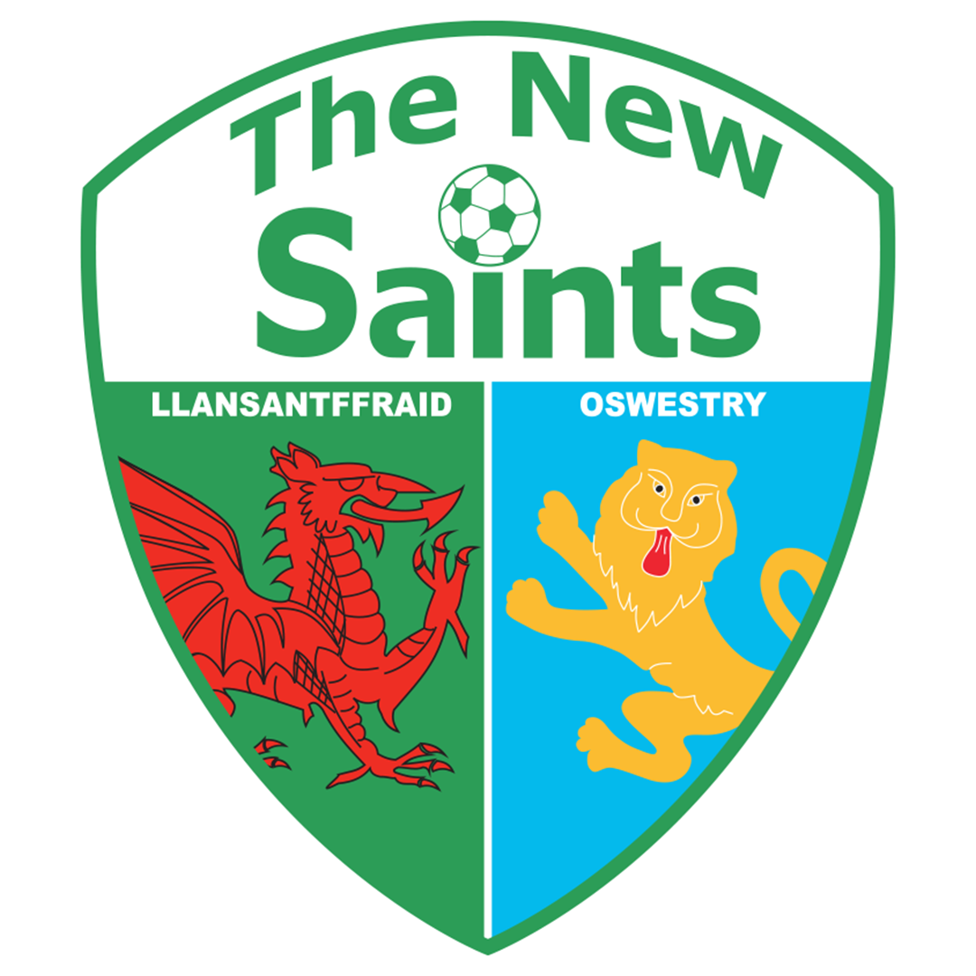 The New Saints Logo