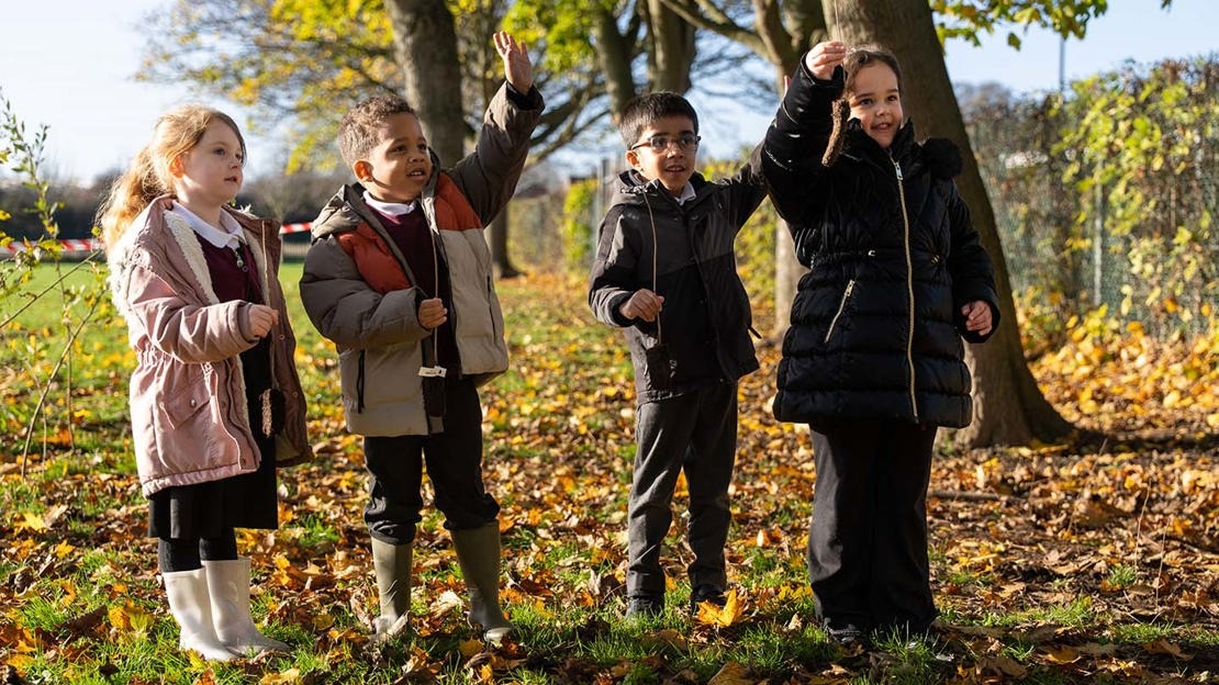 Free Tree Packs Available for Local Schools and Community Groups