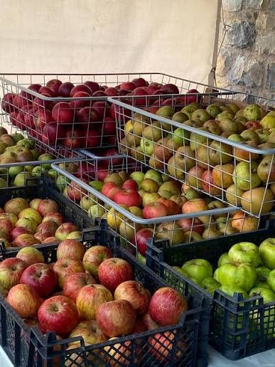 Oswestry Apple Day