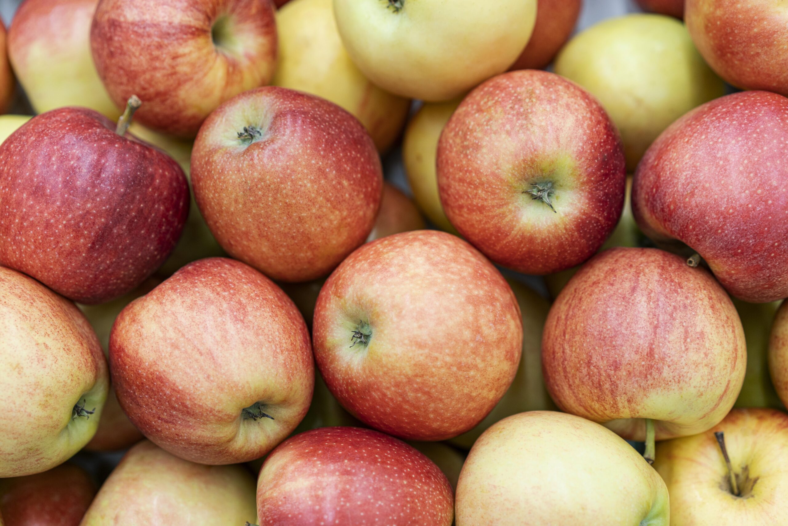 Oswestry Apple Day